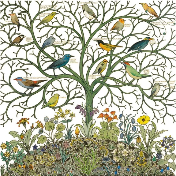 Museums - Arts And Crafts Birds Boxset - Image 2