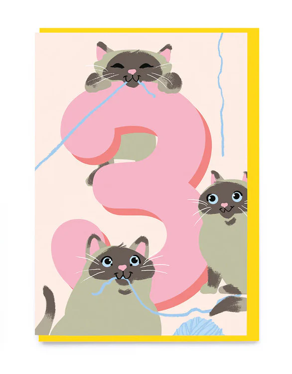 Noi - Age 3 Cats