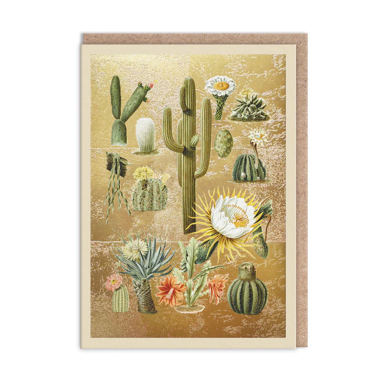 Ohh Deer - Cacti