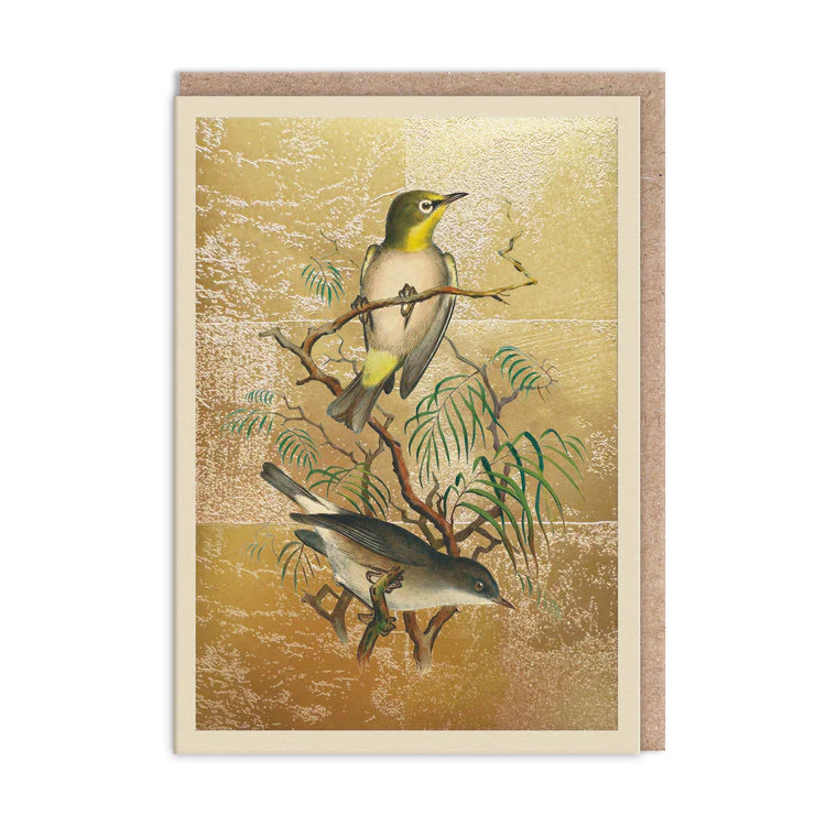 Ohh Deer - Heuglin's White-Eye