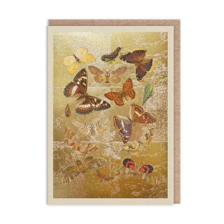 Ohh Deer - Lepidoptera