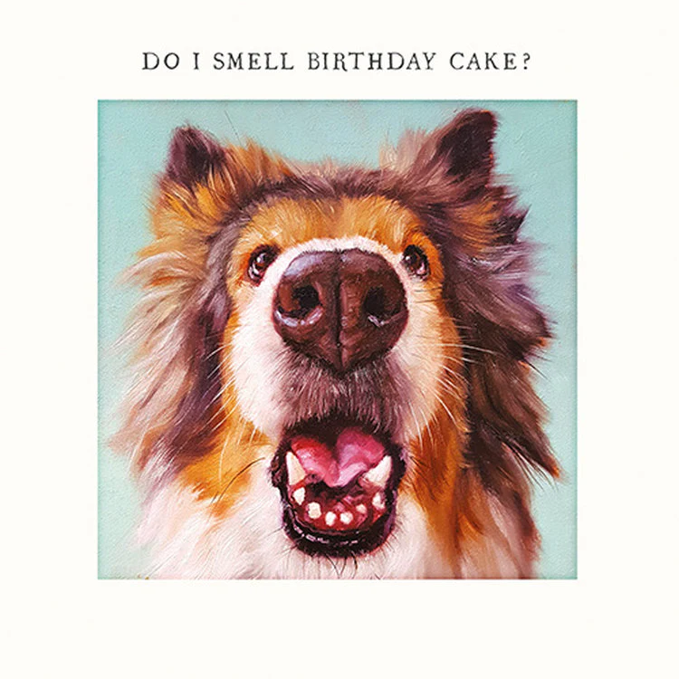 Pigment - Dog Smelling Birthday Cake