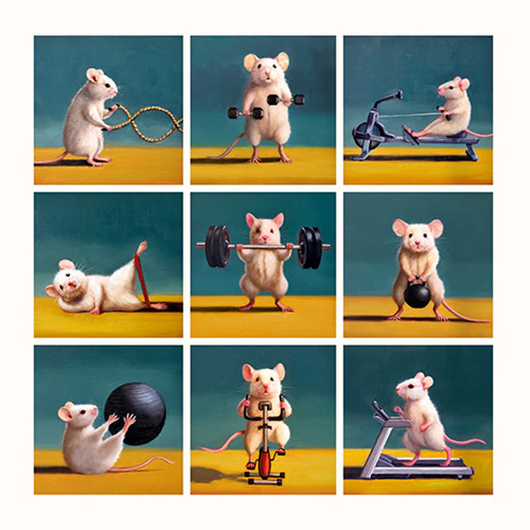 Pigment - Gym Mice