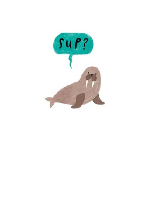 Pigment - Sup!