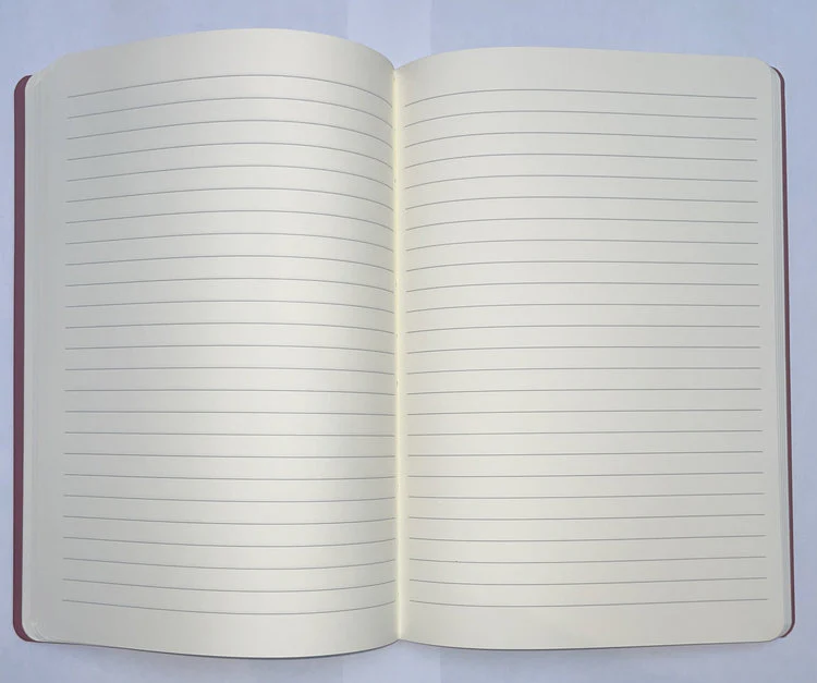 Postmark + CIAK - Ruled Notebook Sage / Burgundy - Image 3