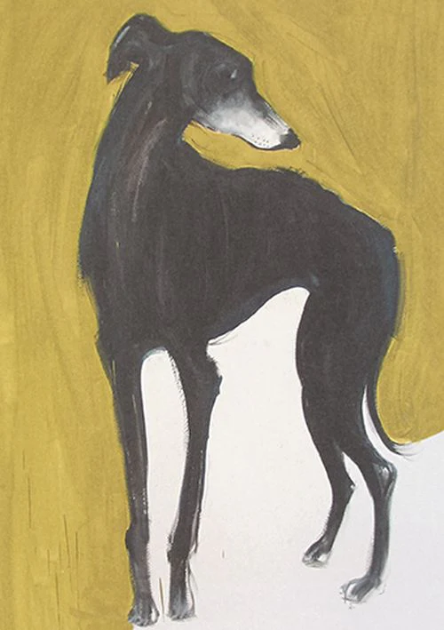 Sally Muir - Galgo