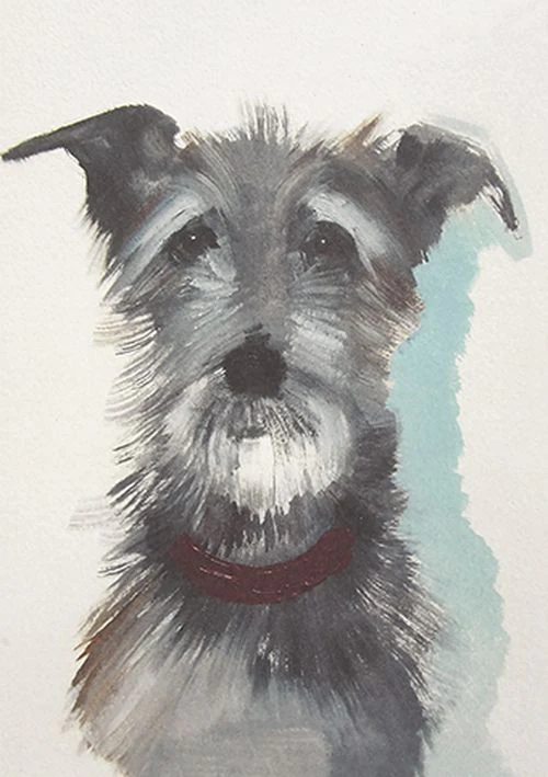 Sally Muir - Hairy Dog