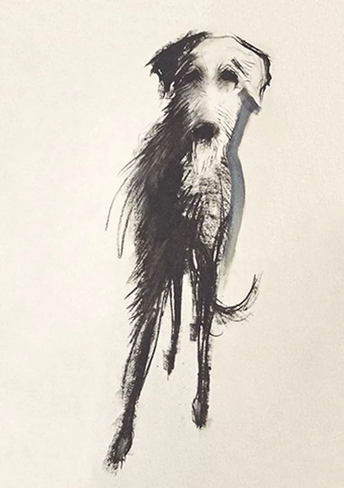 Sally Muir - Lurcher