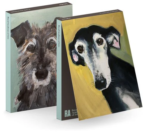 Sally Muir - Notecard Wallet x 6