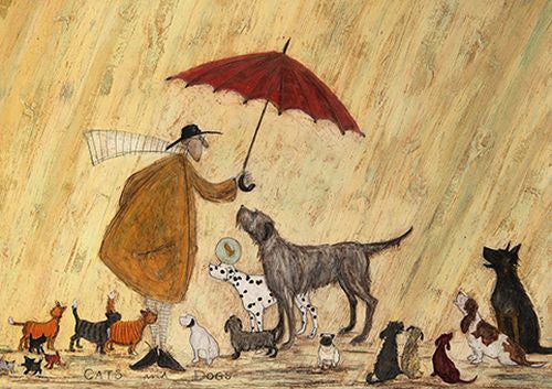 Sam Toft - Cats and Dogs