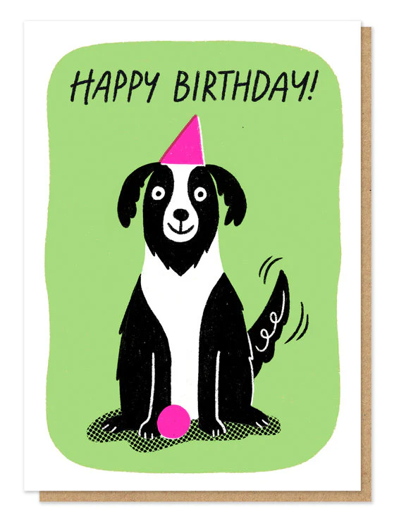 Stormy Knight - Happy Birthday Collie