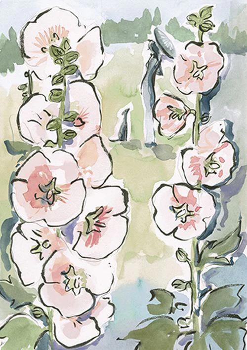 Susannah Garrod - Hollyhocks