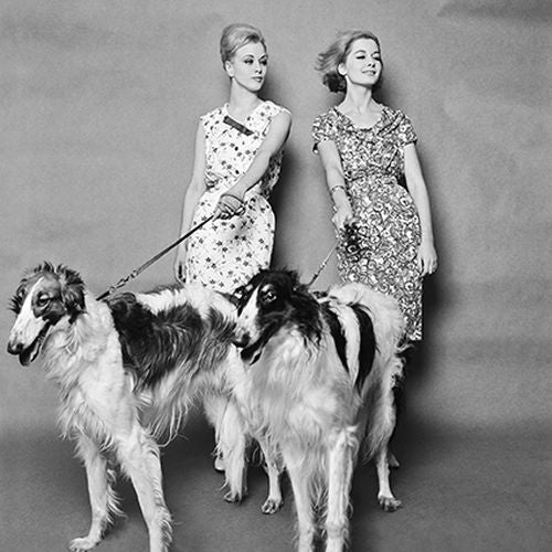 Terence Donovan - Ros Watkins and Sandra Paul