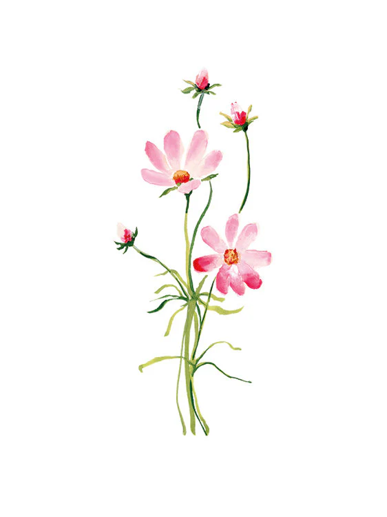 The Art File - Cosmos
