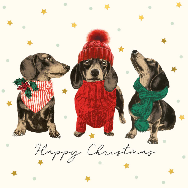 The Art File - Cozy Dachshund wallet - Image 2