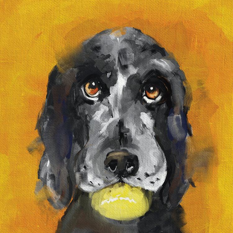 The Art File - Harold The Dog