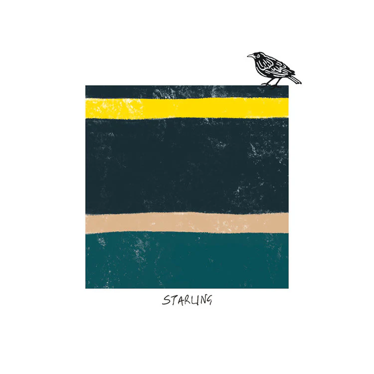 The Art File - Starling Blue