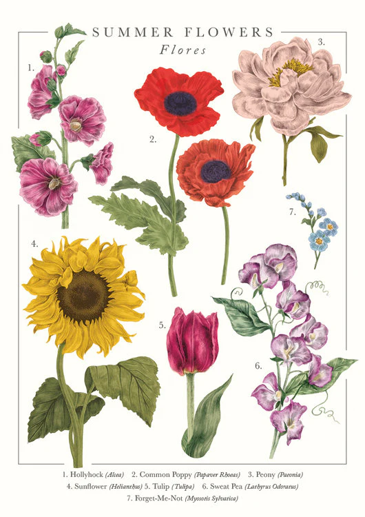 The Art File - Summer Flowers
