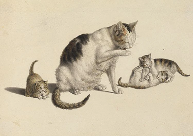 The Courtauld Collection - Cat and Three Kittens