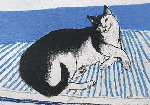 Elizabeth Blackadder - Toby