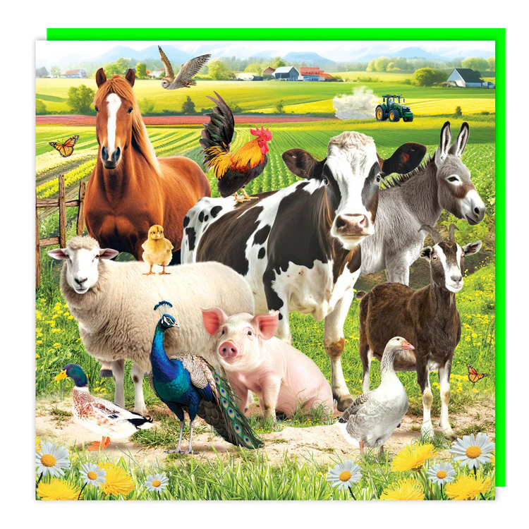 Tracks - Farm Animals - Image 2