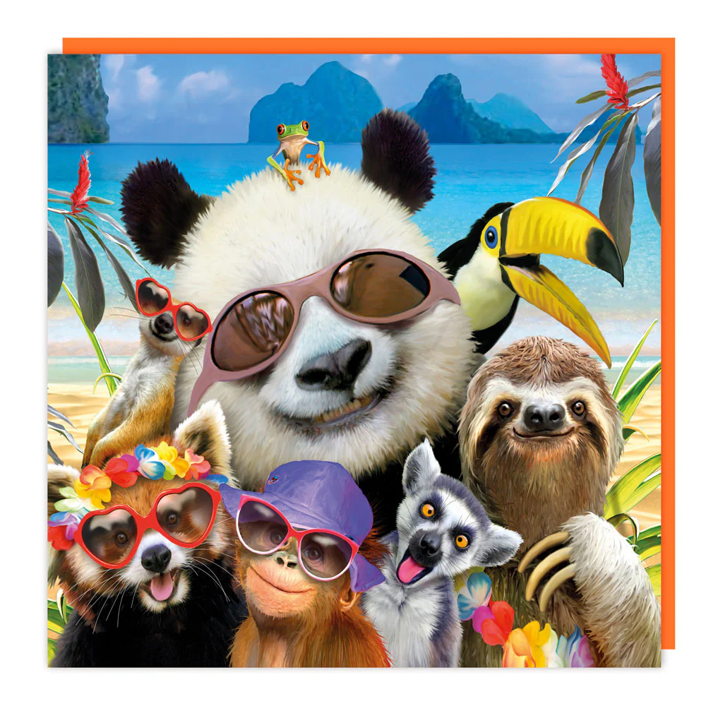 Tracks - Panda And Friends