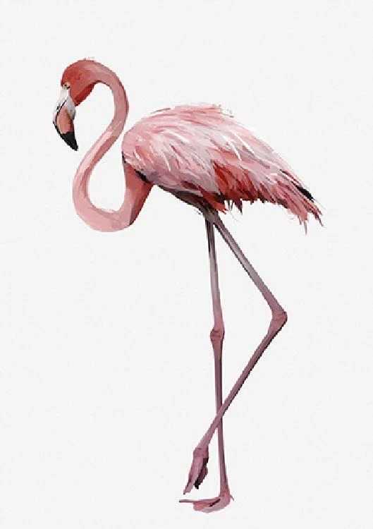 Green Lili - Be a Flamingo