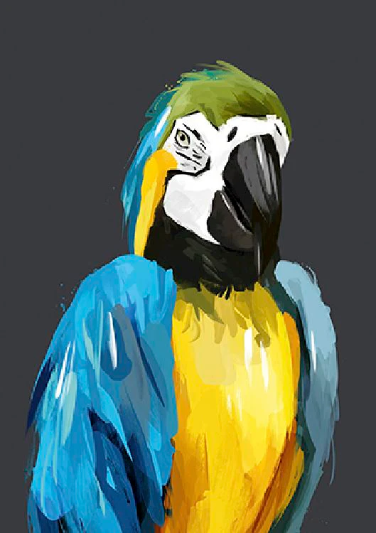 Green Lili - Kota the parrot