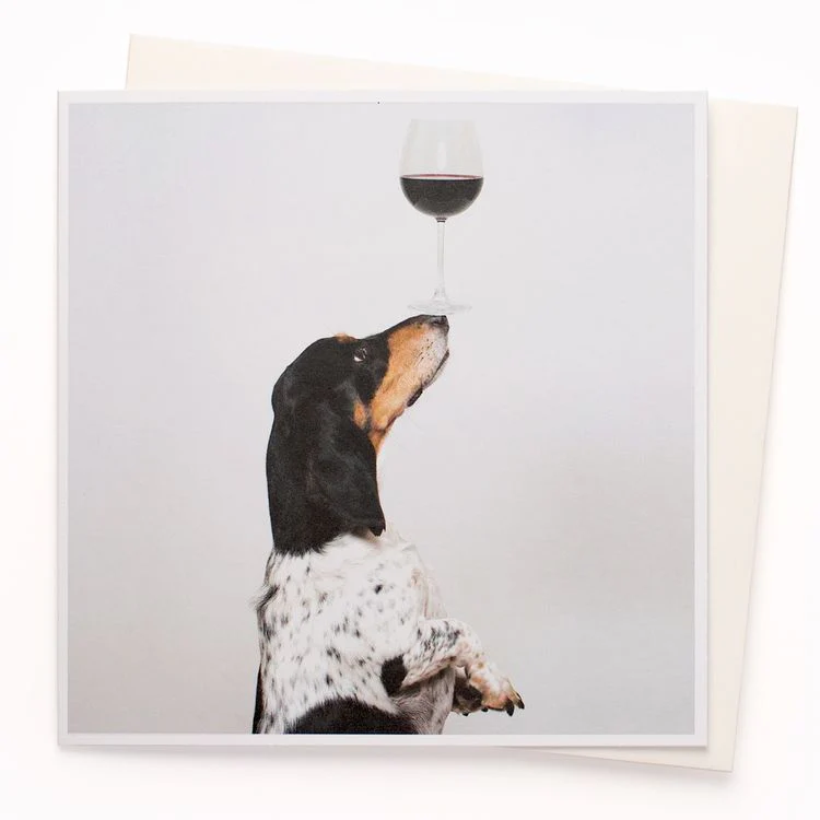 U Studio - Well Balanced Wine