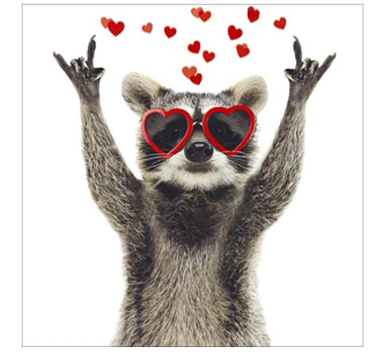 UK Greetings - Racoon Love