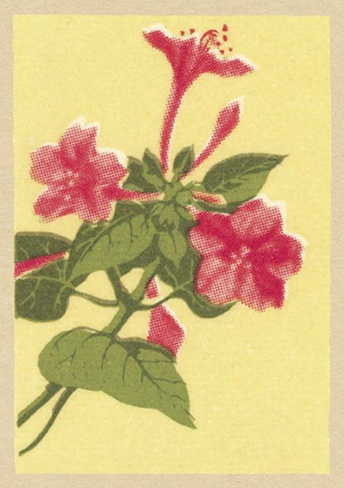 Vintage Matchbox - Beautiful Soul