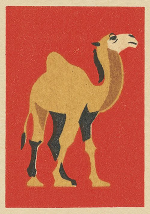 Vintage Matchbox - Camel