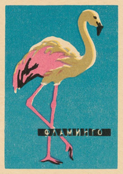 Vintage Matchbox - Flamingo
