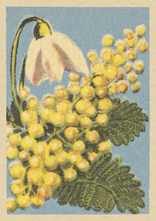 Vintage Matchbox - Flight of Fancy