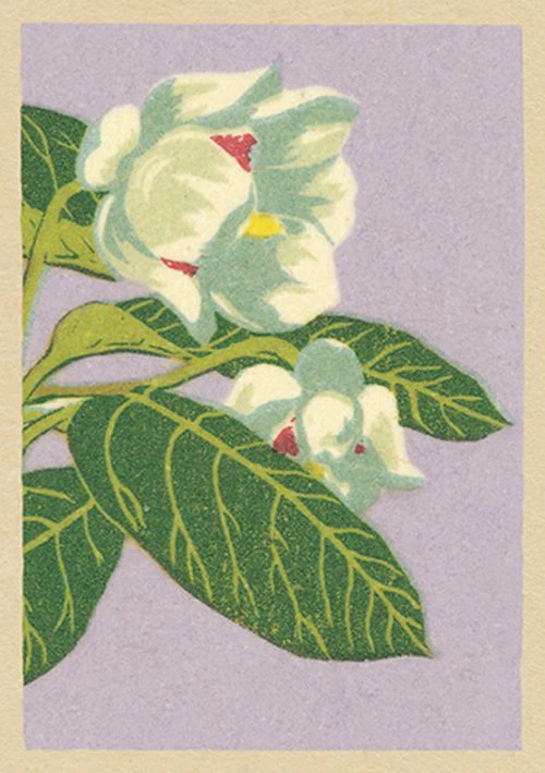 Vintage Matchbox - Sweet Dreams
