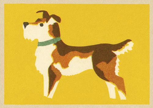 Vintage Matchbox - Terrier Dog