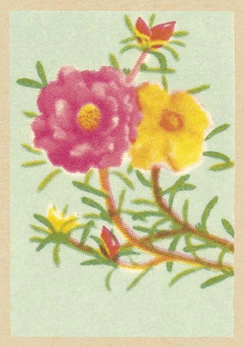 Vintage Matchbox - True Love