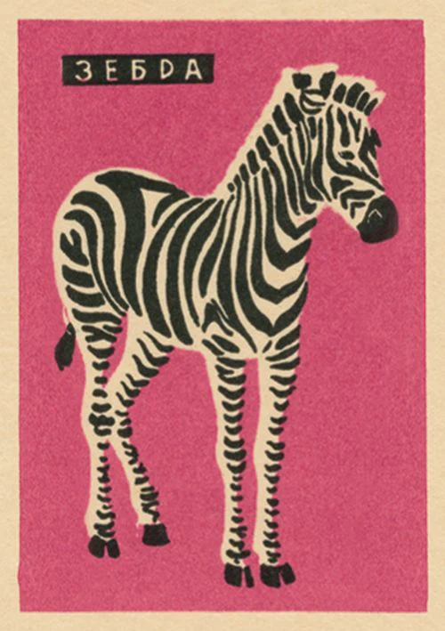 Vintage Matchbox - Zebra