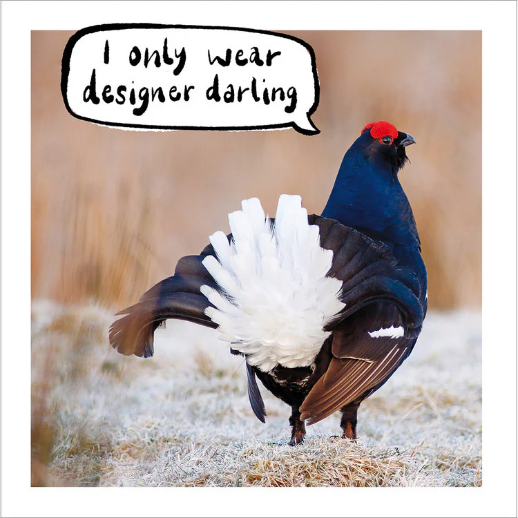 Woodmansterne - Designer Darling