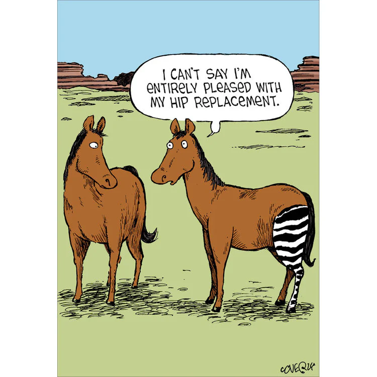 Woodmansterne - Horse With Zebra Hip Replacement