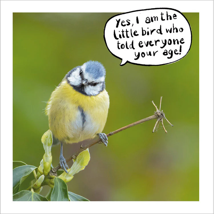 Woodmansterne - Little Bird Told Me