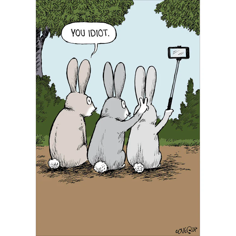 Woodmansterne - Three Rabbits Waving At Camera